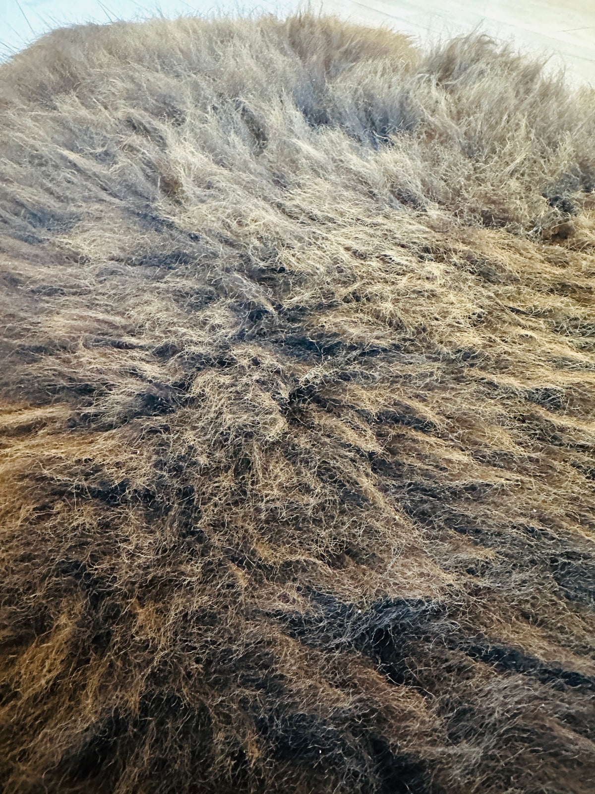 Schaffell vom Krainer Steinschaf, schwarz, 64 x 98 cm