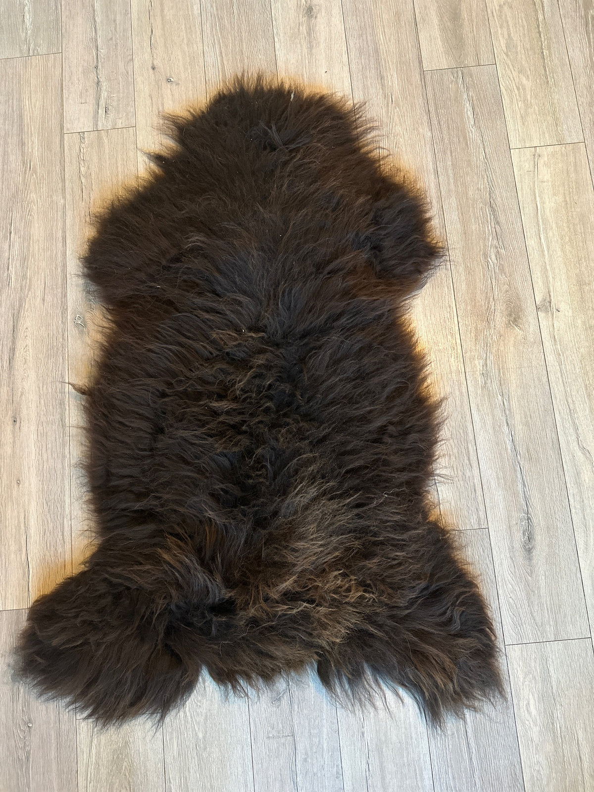 Schaffell vom Krainer Steinschaf, schwarz, 65 x 115