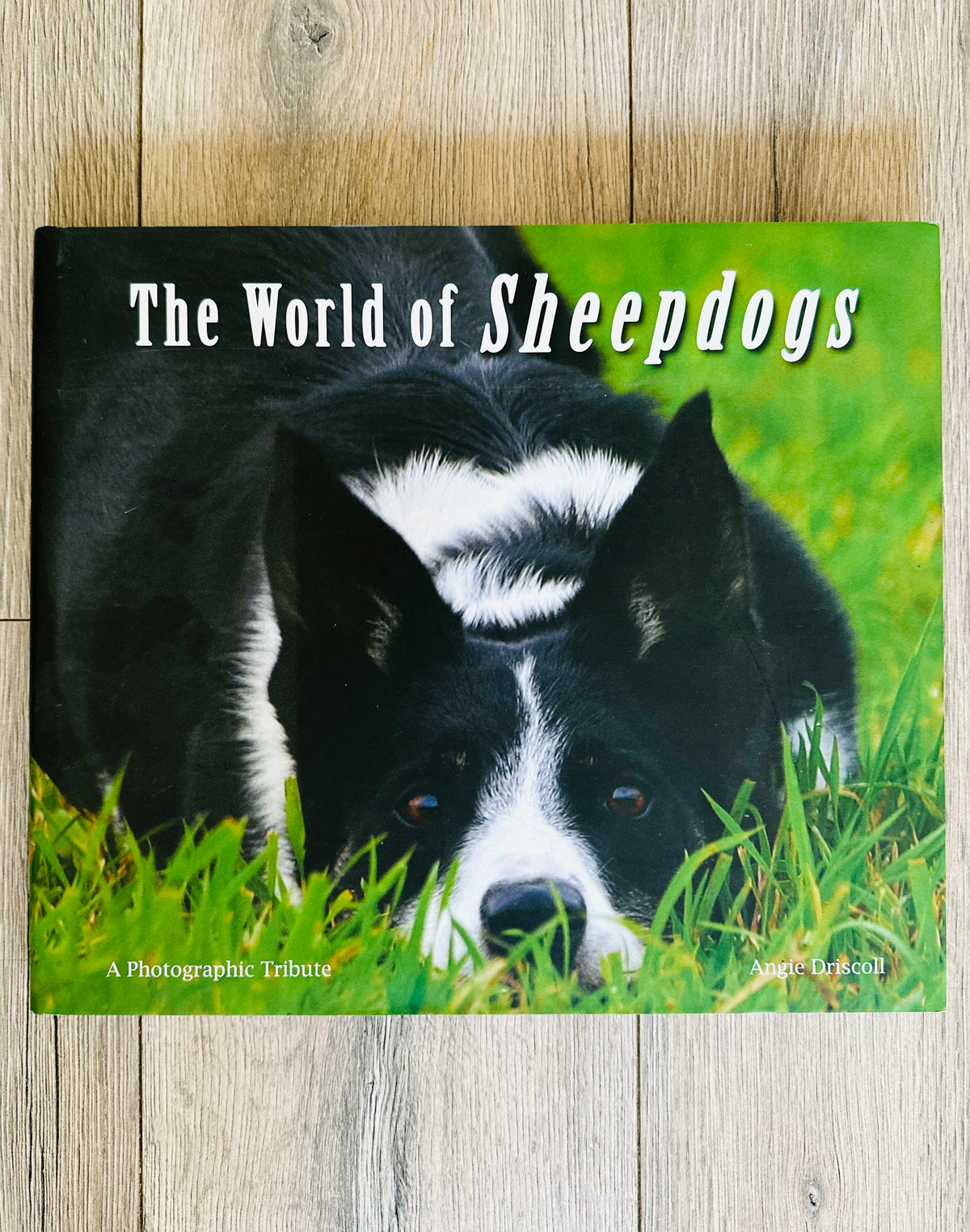 The World of Sheepdogs – A Photographic Tribute