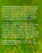 The World of Sheepdogs – A Photographic Tribute