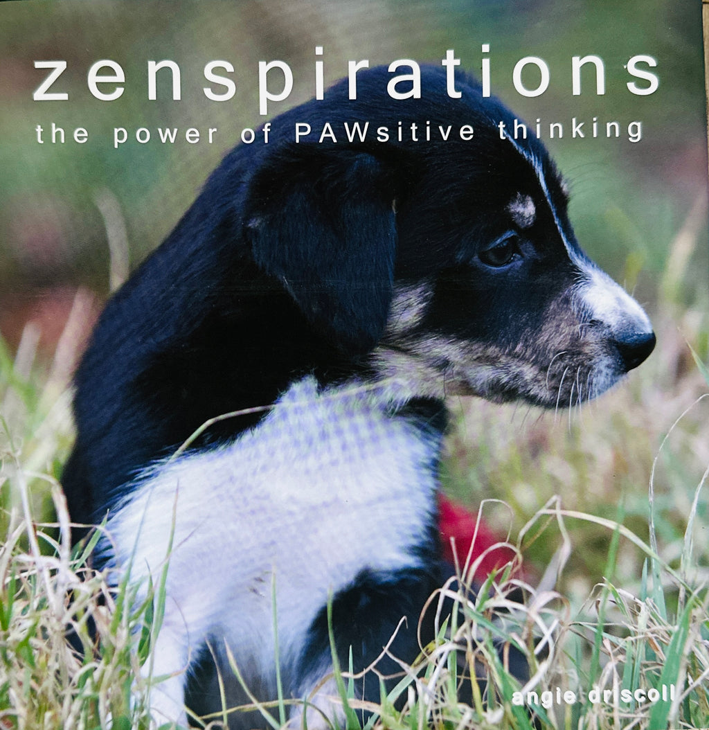 Zenspirations – The Power to PAWsitive Thinking