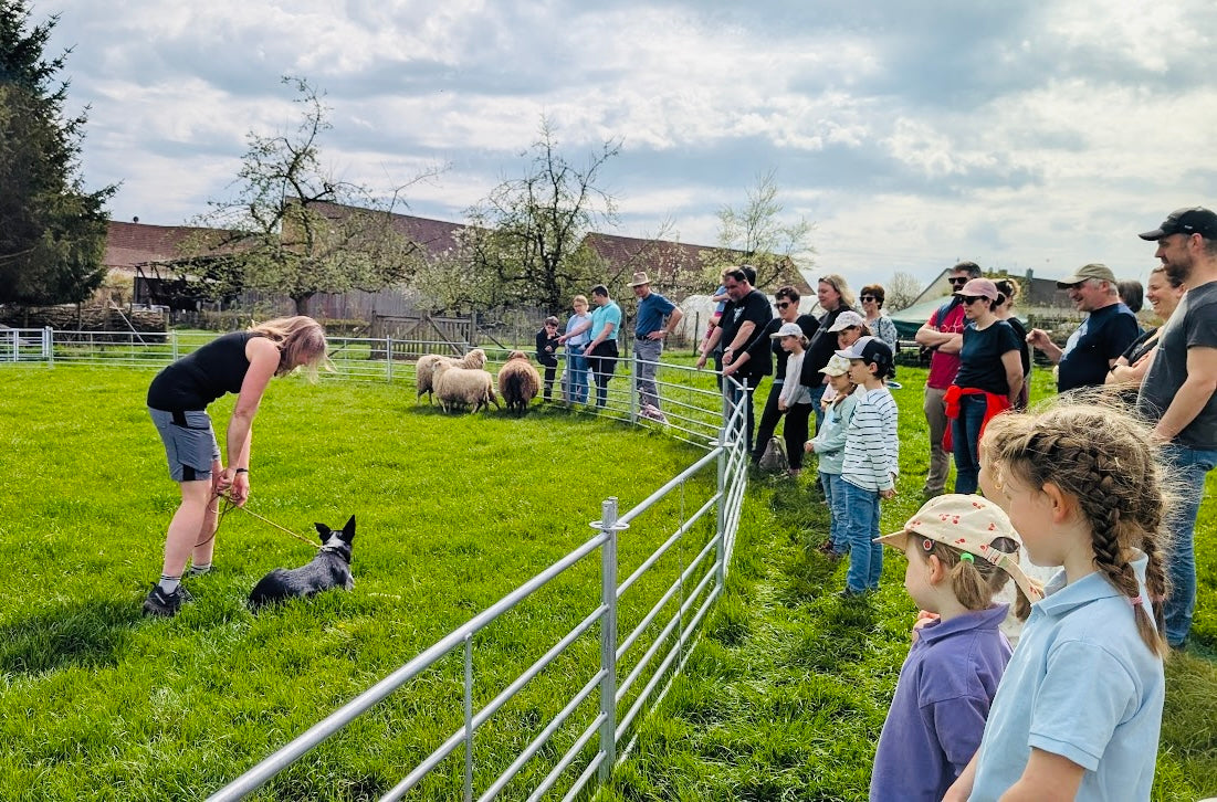 Hofführung auf der Smart Working Farm – 26. September 2026